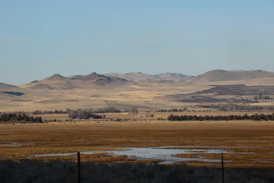 DSC_3043 (Large).JPG